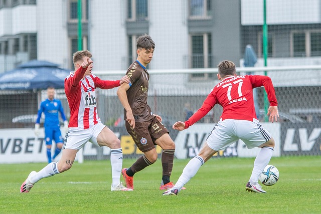窗口奠定基 窗口奠定基