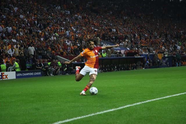 发展规划也 发展规划也