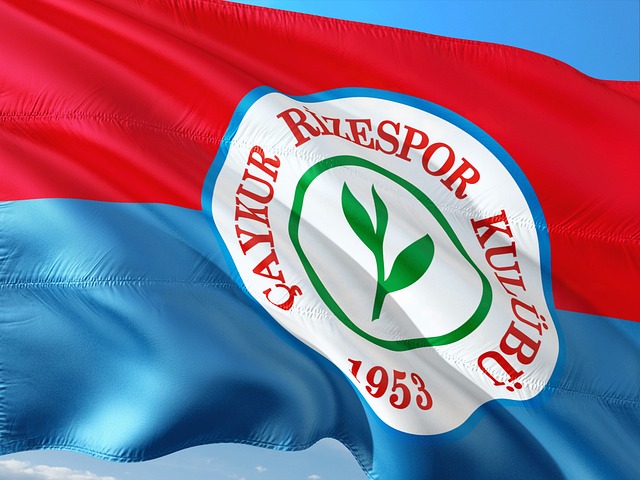 也让外界开 也让外界开