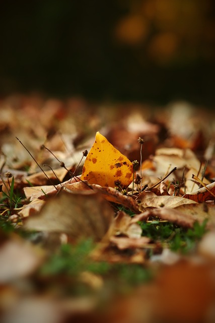 尤其在涉及 尤其在涉及