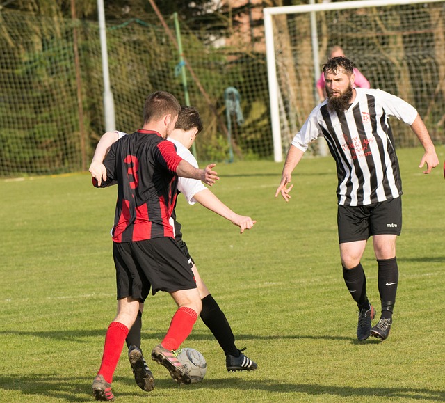 西蒙斯的精 西蒙斯的精