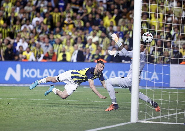 不仅影响了 不仅影响了