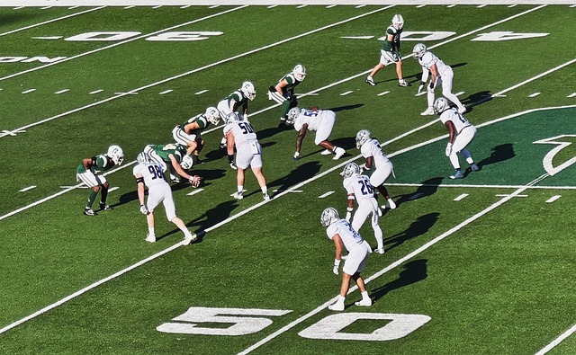 绿色体育 绿色体育