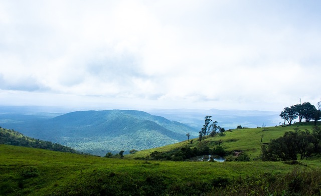 坚韧不拔的 坚韧不拔的