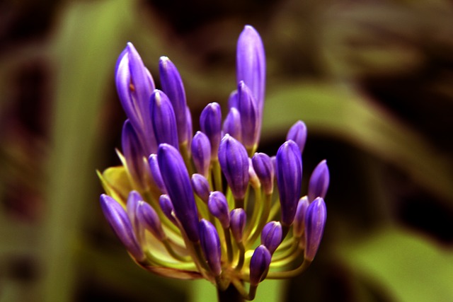 利除了依靠 利除了依靠