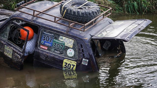 世界前五 世界前五