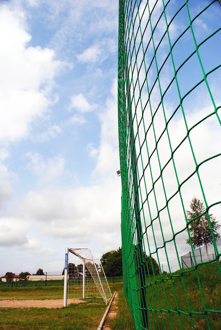 数据显示 数据显示