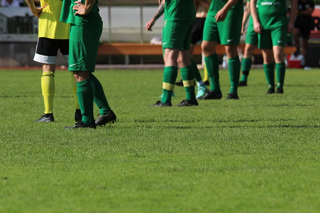 都在大踏步 都在大踏步