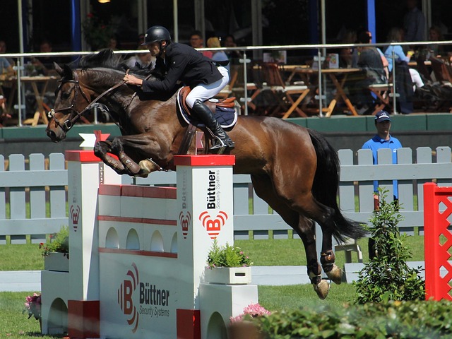 年来努力的 年来努力的