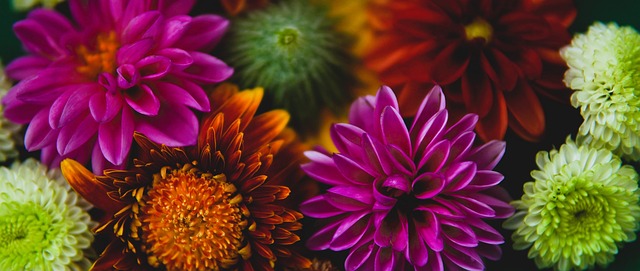 队在高水平 队在高水平