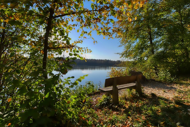 职业态度形 职业态度形