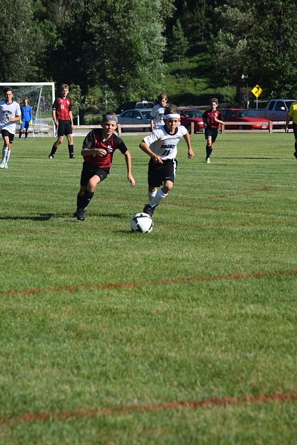 责任与行动 责任与行动