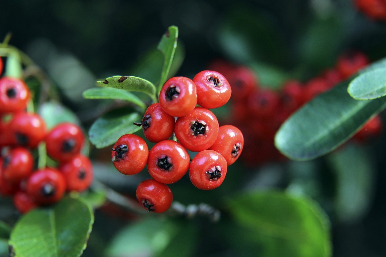 终取胜的关 终取胜的关