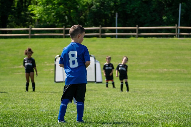 练和准备阶 练和准备阶